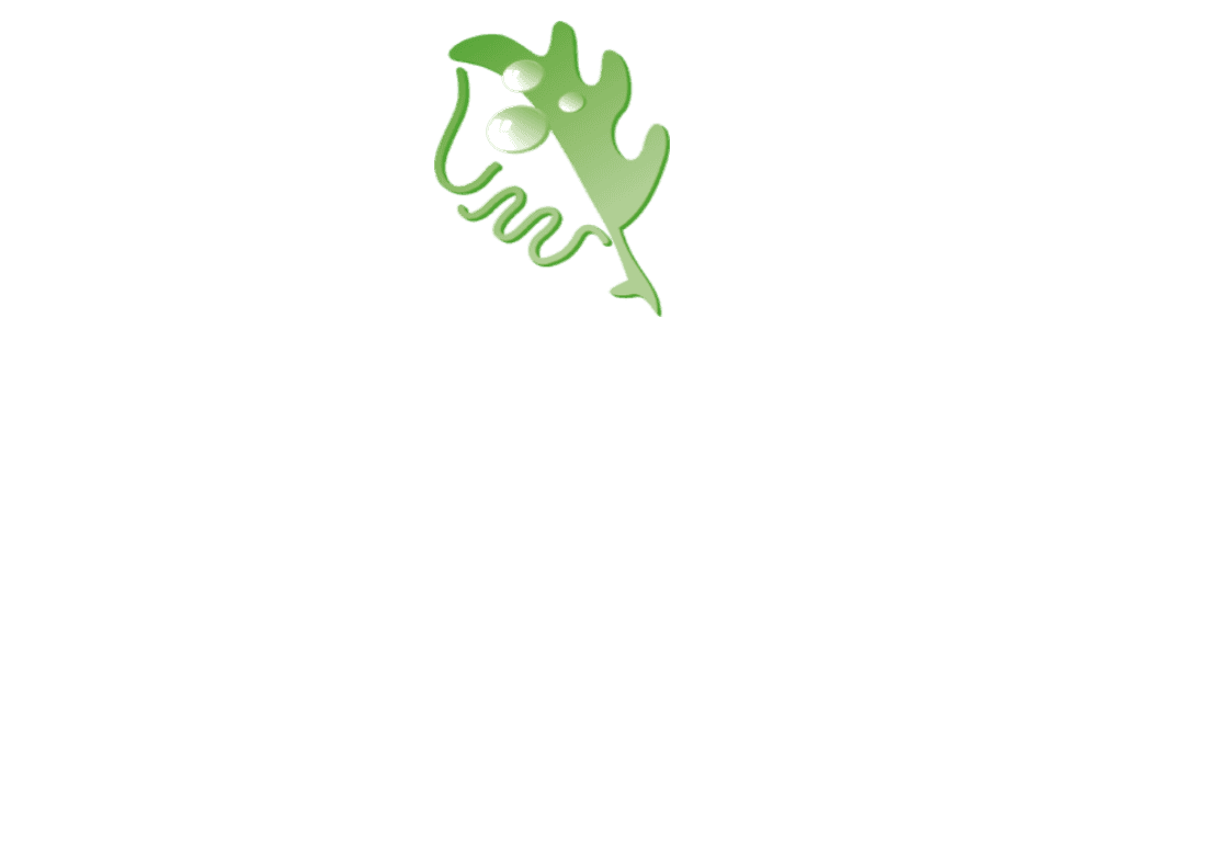 Otel Logo 5