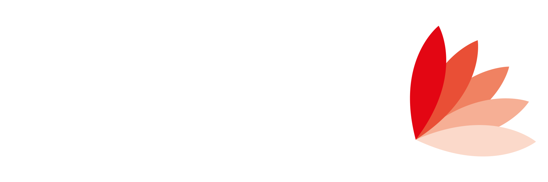 Elektra Elektra ve Elektra Web PMS hotspot entegrasyonu — IDNet 5651 loglama