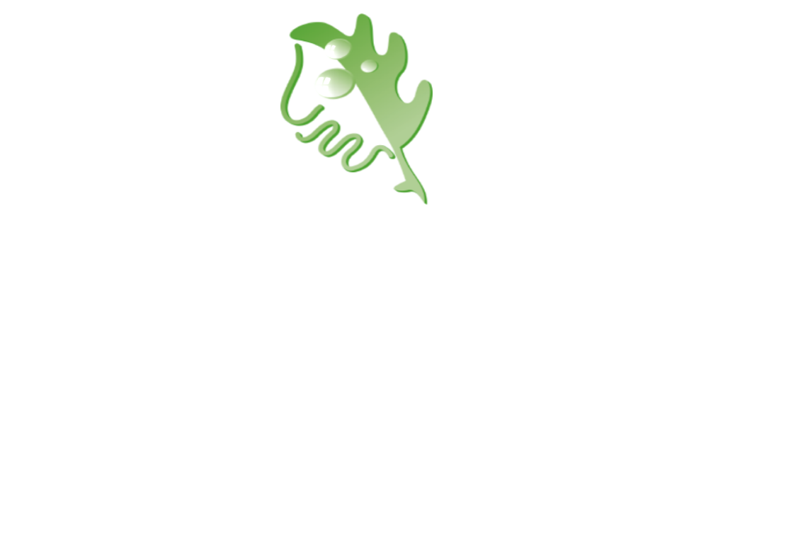 Green Garden Hotels Green Garden Hotels — IDNet hotspot otomasyonu referans oteli